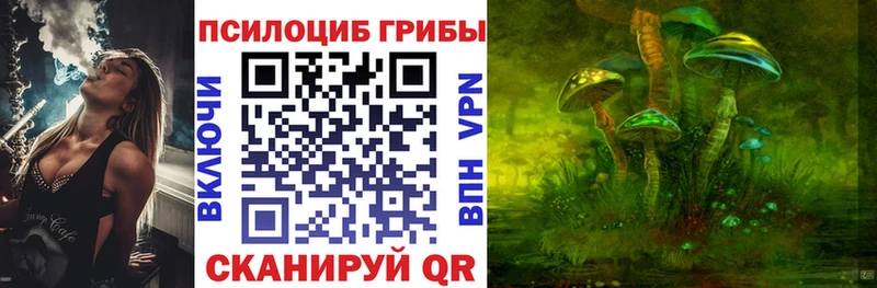 blacksprut как зайти  Лодейное Поле  Псилоцибиновые грибы Psilocybine cubensis  где купить наркоту 